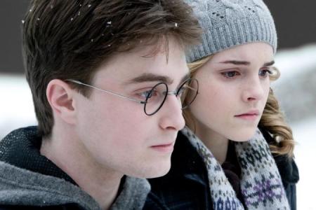 Harry and Hermy under the snow!
